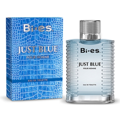 Bi Es Just Blue Homme - woda toaletowa 100 ml