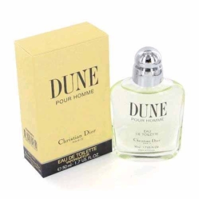 Q. Dior Dune pour Homme - woda toaletowa 100 ml