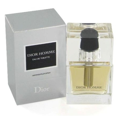 Q. Dior Dior Homme - woda toaletowa 100 ml