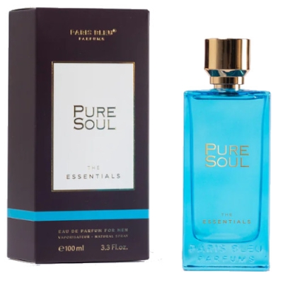 Pure Soul The Essentials Paris Bleu - woda perfumowana dla mężczyzn 100 ml